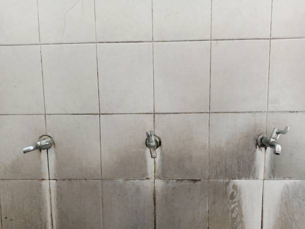 Best Water damage cleanup near me  in Tazewell, VA